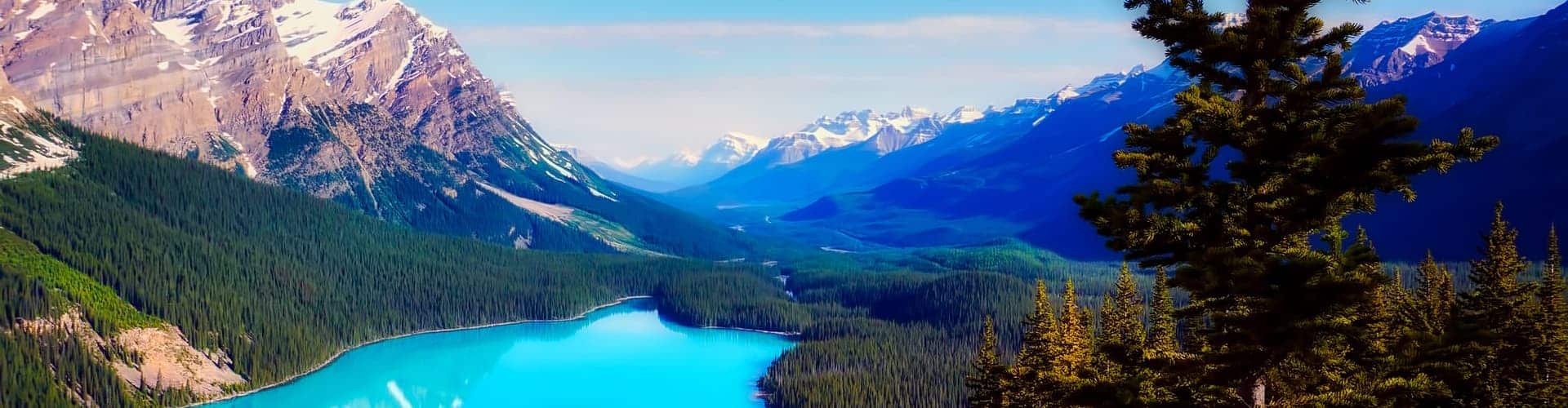 edmonton-peyto-lake
